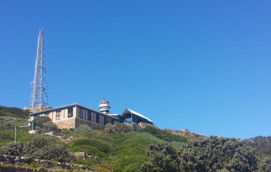 Cape Point and Peninsula excursion