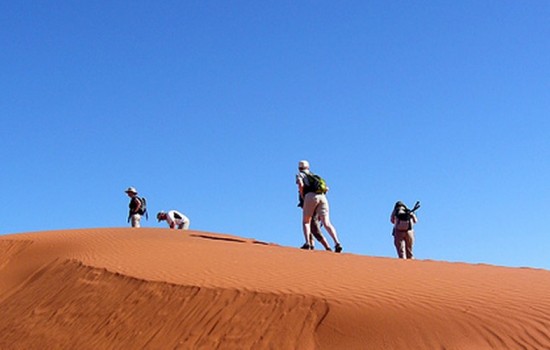 Desert Hiking Trail