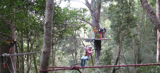 Treetop canopy tour